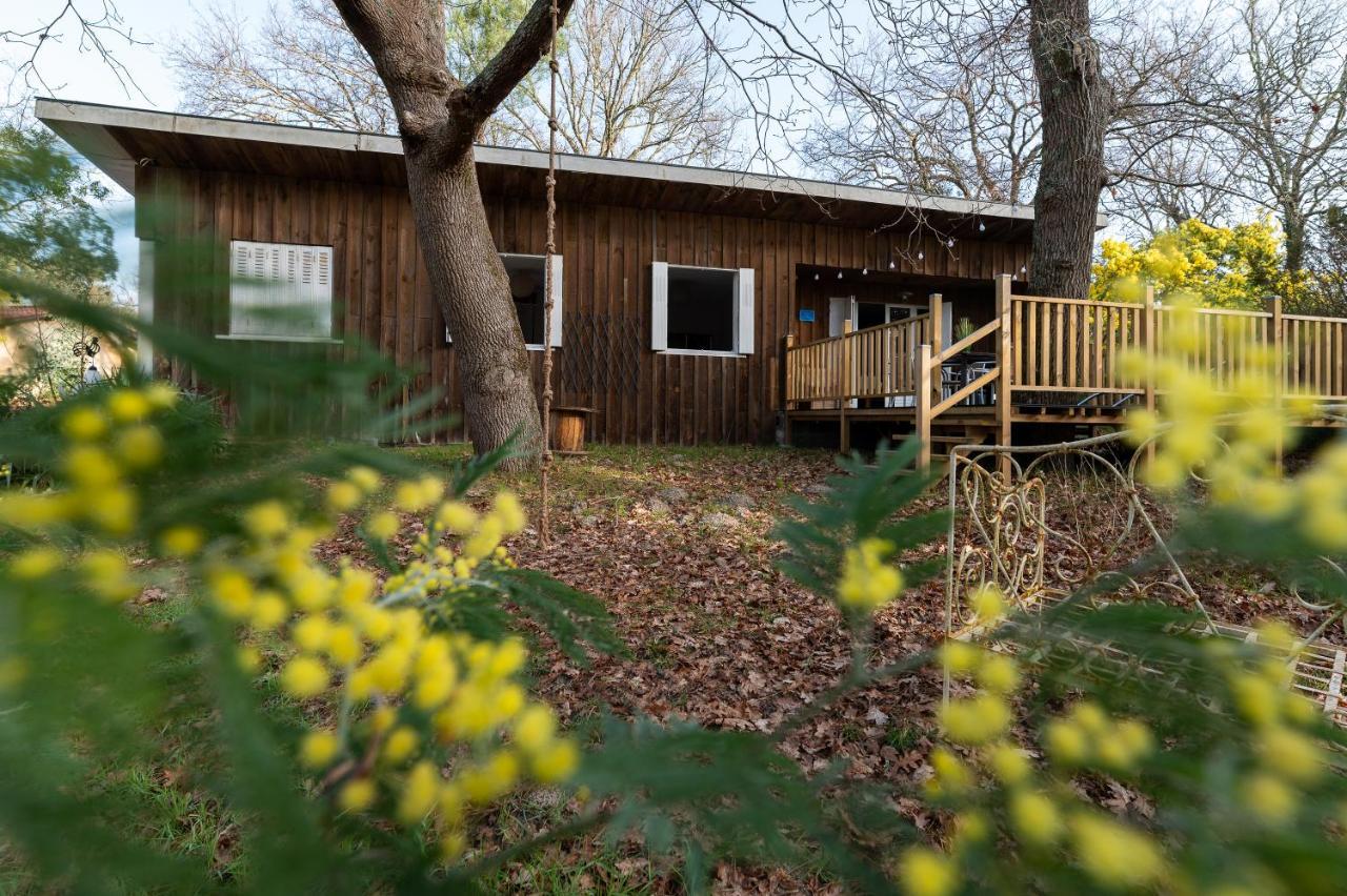 La Petite Maison Du Lac 비스카로세 외부 사진